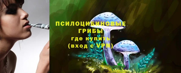 соль курить ск Бронницы
