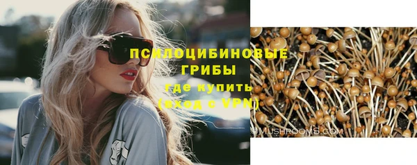 гидра Бугульма
