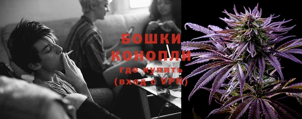 ПСИЛОЦИБИНОВЫЕ ГРИБЫ Бородино