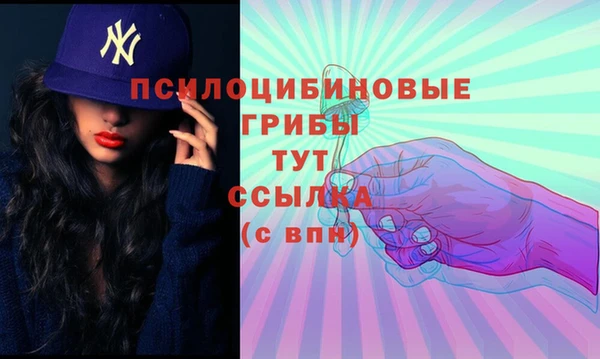 гидра Бугульма