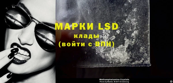 ПСИЛОЦИБИНОВЫЕ ГРИБЫ Бородино