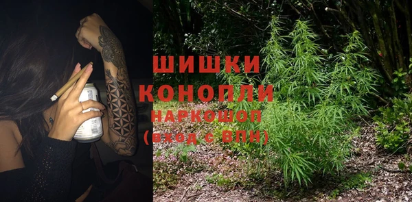 ПСИЛОЦИБИНОВЫЕ ГРИБЫ Бородино