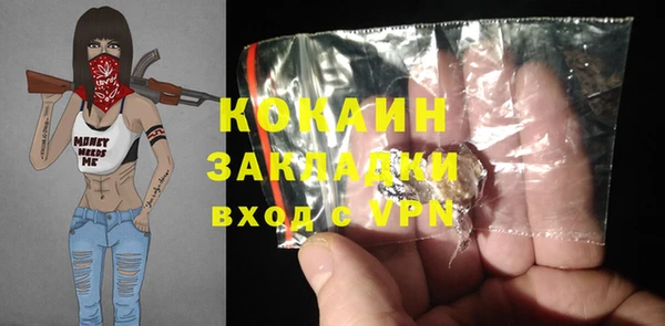 сатива Богородицк